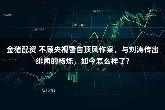 金猪配资 不顾央视警告顶风作案,与刘涛传出绯闻的杨烁,如今怎么样了?